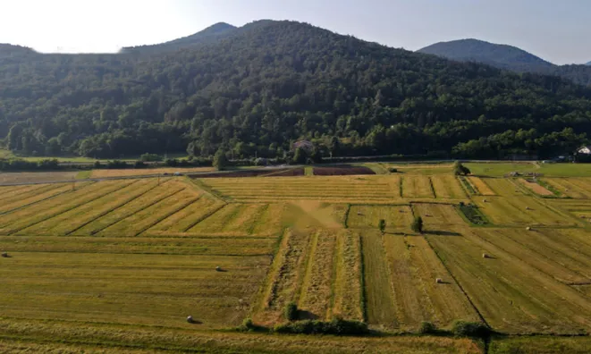 Недвижимость Имение, ферма Березовице под Любляной, Горичица.: 1