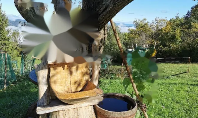 Недвижимость Поместье, Ферма Горе: 7