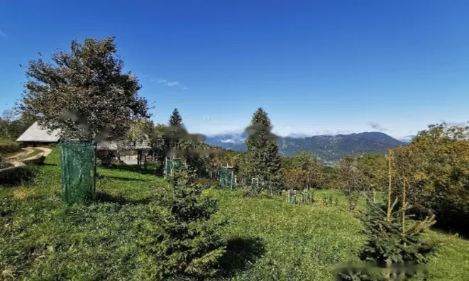 Недвижимость Поместье, Ферма Горе: 14