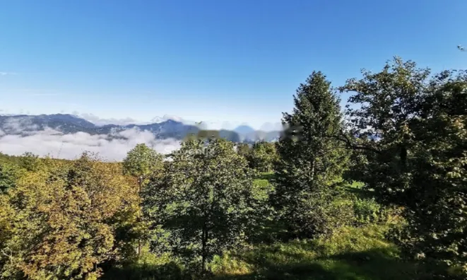 Недвижимость Поместье, Ферма Горе: 15