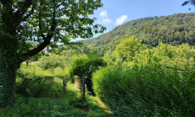 Недвижимость Усадьба, фермерское хозяйство Храстник: 7