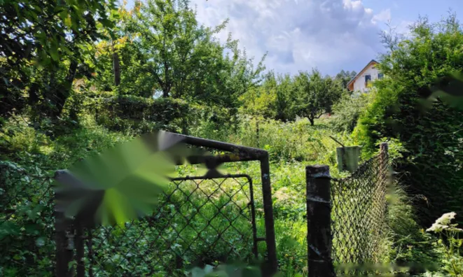 Недвижимость Усадьба, фермерское хозяйство Храстник: 8