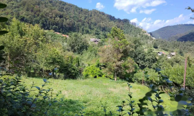 Недвижимость Усадьба, фермерское хозяйство Храстник: 9