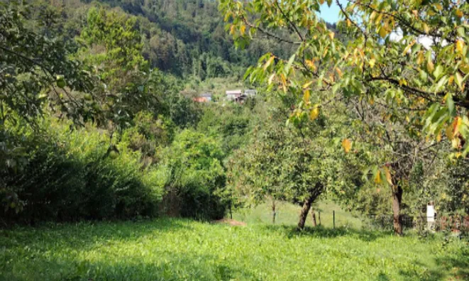 Недвижимость Усадьба, фермерское хозяйство Храстник: 11