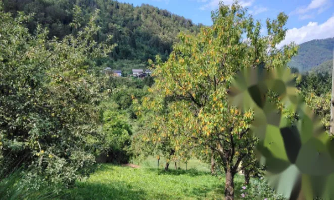 Недвижимость Усадьба, фермерское хозяйство Храстник: 12