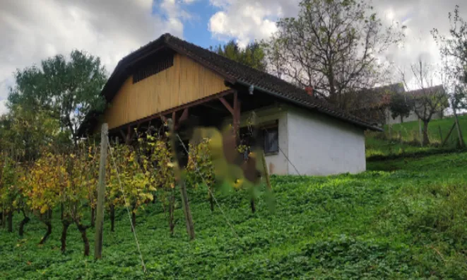 Недвижимость Поместье, ферма Каменце: 8