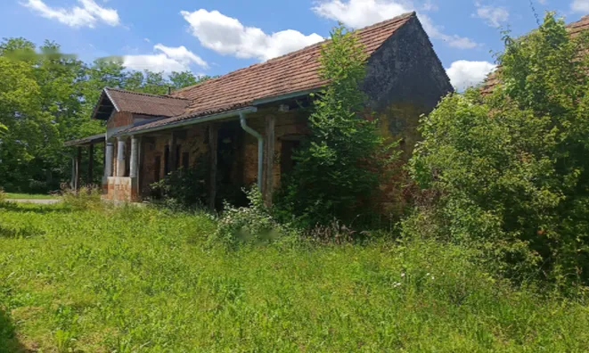 Недвижимость Поместье, ферма Кобилье: 2