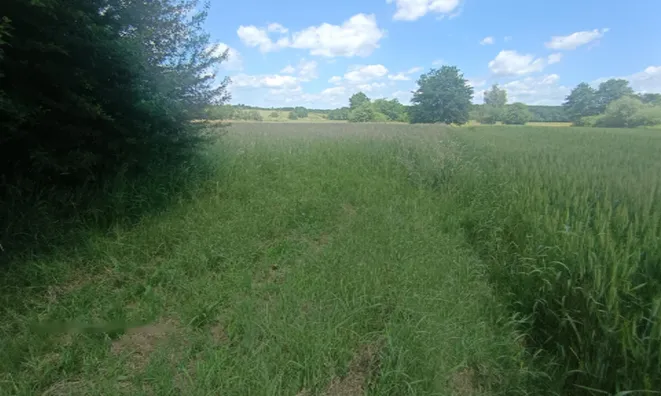 Недвижимость Поместье, ферма Кобилье: 6