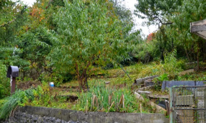 Недвижимость Дом в Осредек при Подсреди: 9