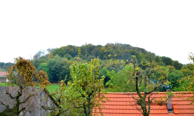 Недвижимость Дом в Осредек при Подсреди: 10