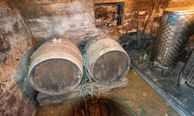 Недвижимость Дом в Юршинци: 16