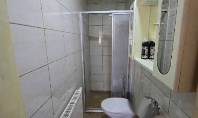 Недвижимость Дом в Сухом Врхе: 10