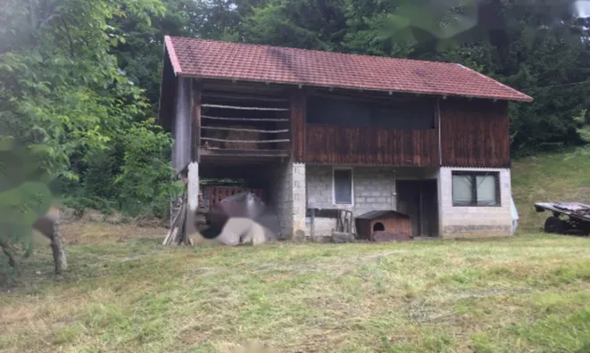 Недвижимость Дом Подпланины: 4