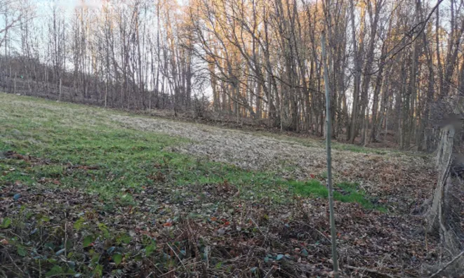 Недвижимость Дом, Рачки Верх: 19