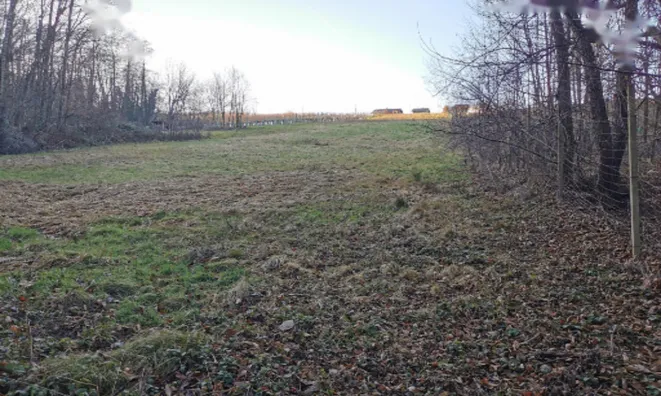 Недвижимость Дом, Рачки Верх: 20