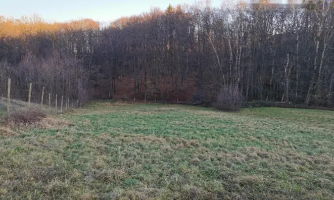 Недвижимость Дом, Рачки Верх: 21