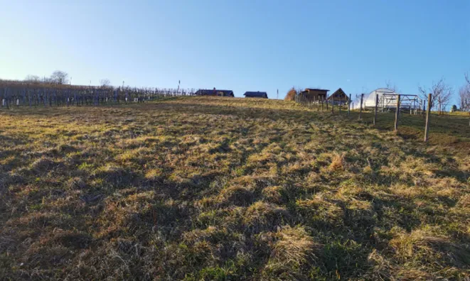 Недвижимость Дом, Рачки Верх: 22