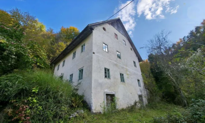 Недвижимость Дом в Объятии Природы: 1