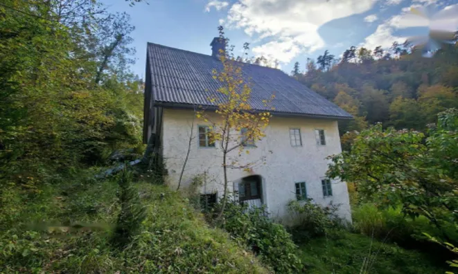 Недвижимость Дом в Объятии Природы: 3