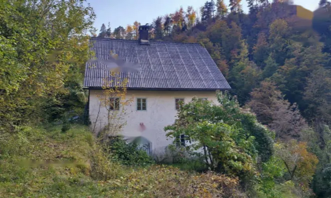 Недвижимость Дом в Объятии Природы: 4