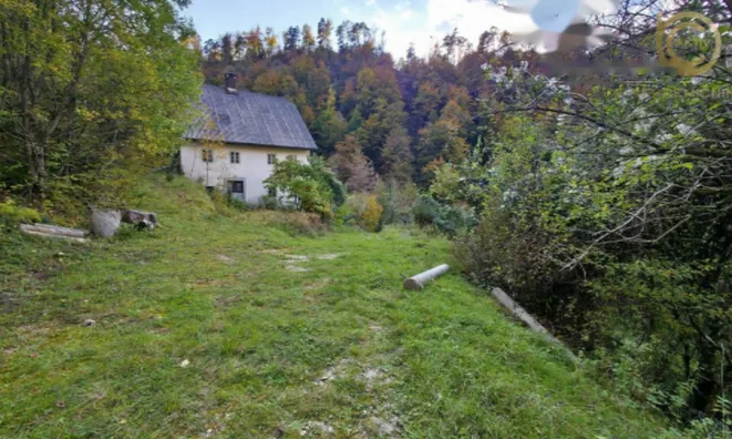 Недвижимость Дом в Объятии Природы: 9