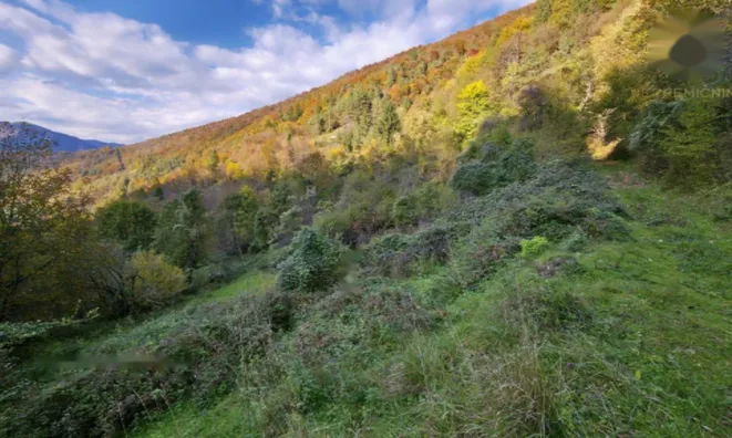 Недвижимость Дом в Объятии Природы: 11