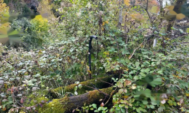 Недвижимость Дом в Объятии Природы: 12