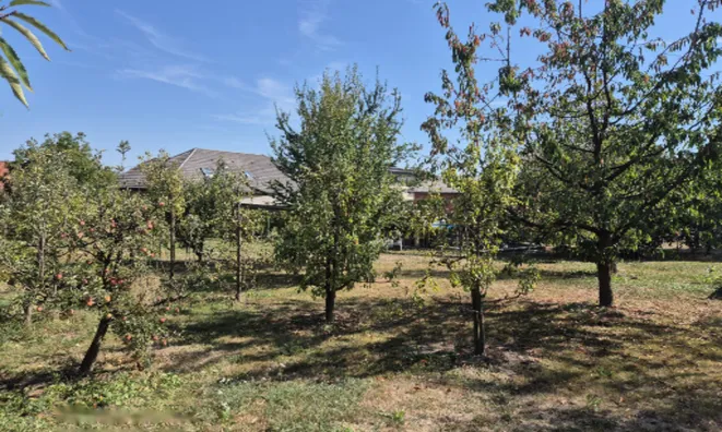 Недвижимость Дом, Зеньковцы: 25