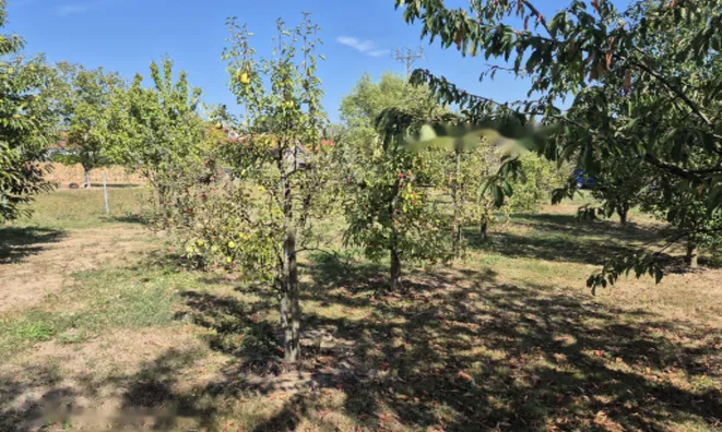 Недвижимость Дом, Зеньковцы: 26