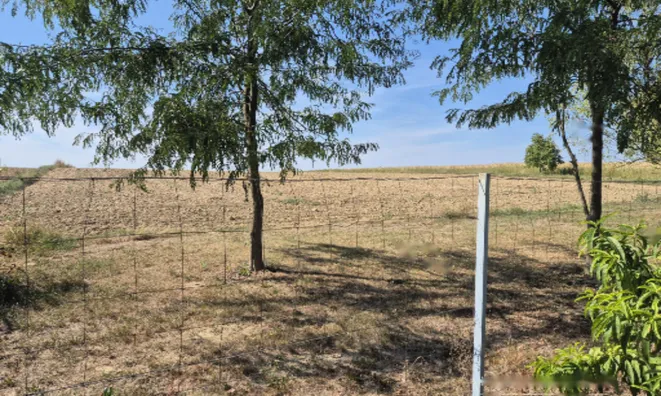 Недвижимость Дом, Зеньковцы: 28