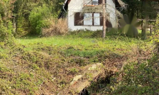 Недвижимость Дом Козминци Птуй Подлегник: 5