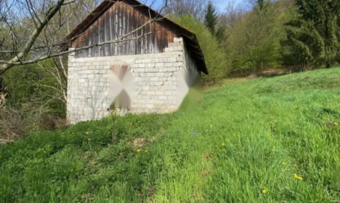 Недвижимость Дом Козминци Птуй Подлегник: 10