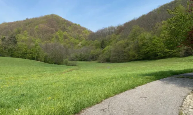 Недвижимость Дом Козминци Птуй Подлегник: 13