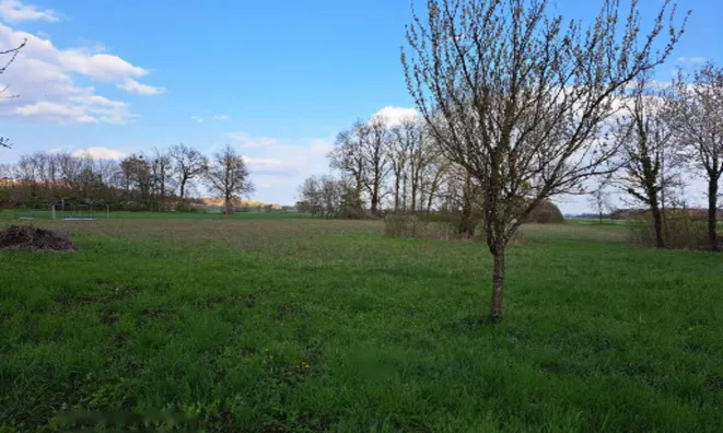 Недвижимость Дом, Стреховци: 7