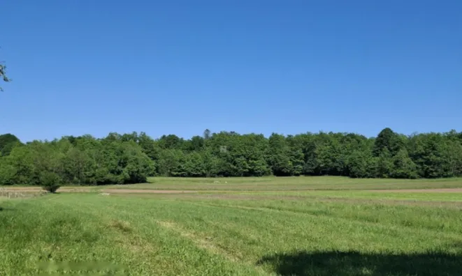 Недвижимость Дом в Доленей Сухор при Винице: 6