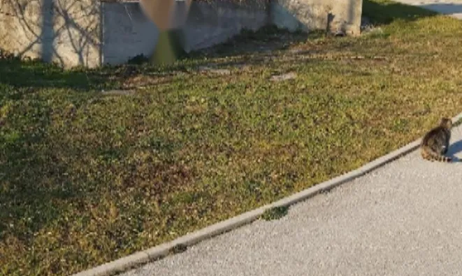 Недвижимость Дом, Заречье, Ил. Бистрица: 3