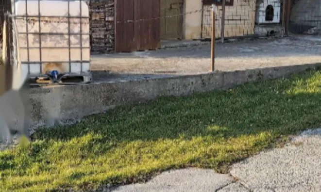 Недвижимость Дом, Заречье, Ил. Бистрица: 5