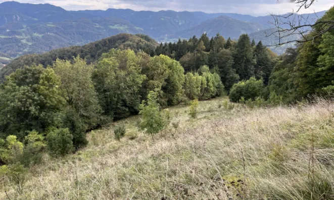 Недвижимость Дом, Света Планина, 33.: 5