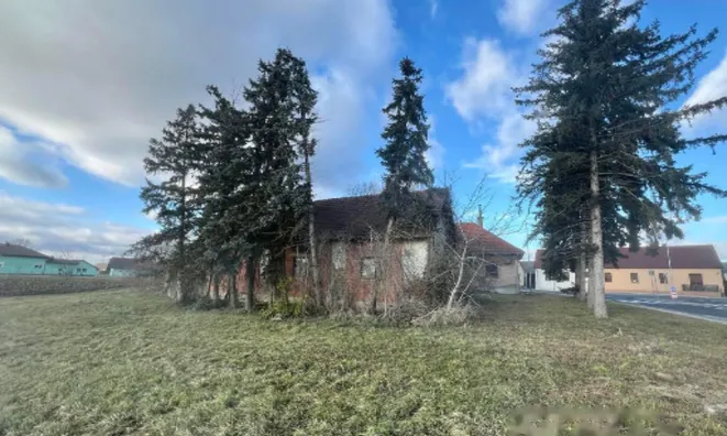 Недвижимость Дом в Березовцах: 12