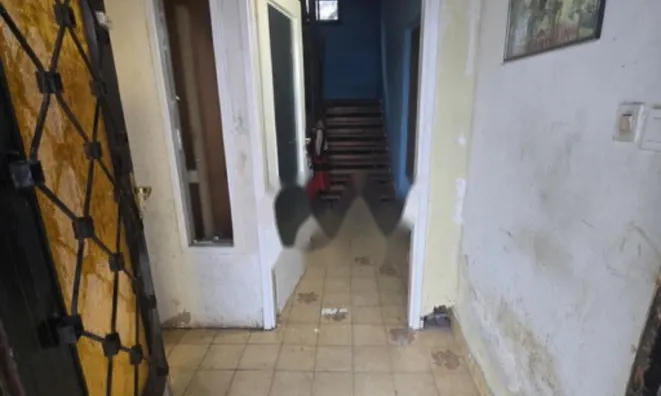 Недвижимость Дом, Доброва при Дравограде: 12