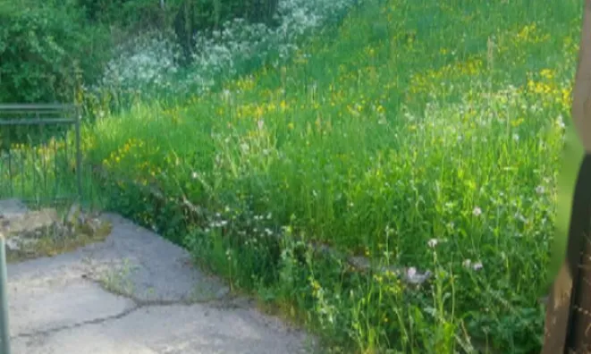 Недвижимость Дом в Идрии Грапа: 6