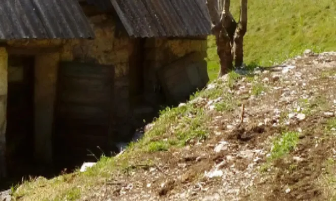 Недвижимость Дом, Локовец: 2