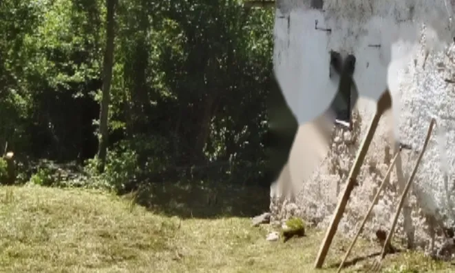 Недвижимость Дом, Локовец: 4