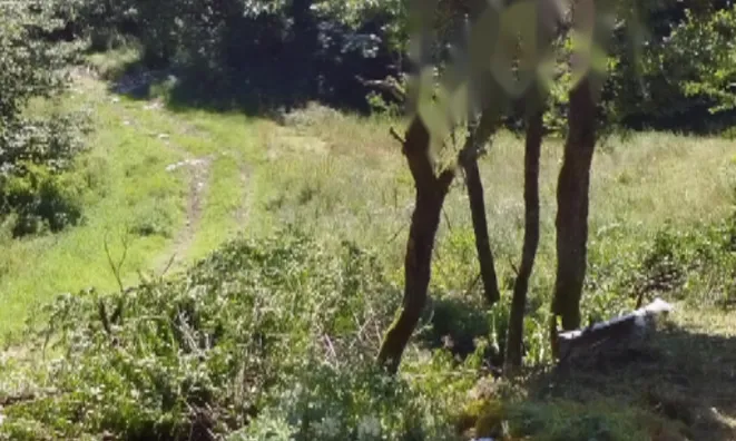 Недвижимость Дом, Локовец: 6