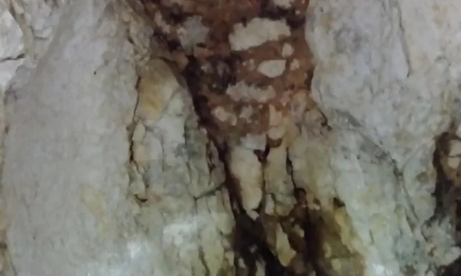 Недвижимость Дом, Локовец: 9