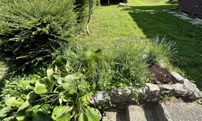 Недвижимость Дом, Белски Врх: 19