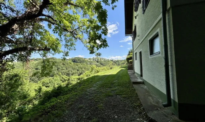 Недвижимость Дом, Белски Врх: 20