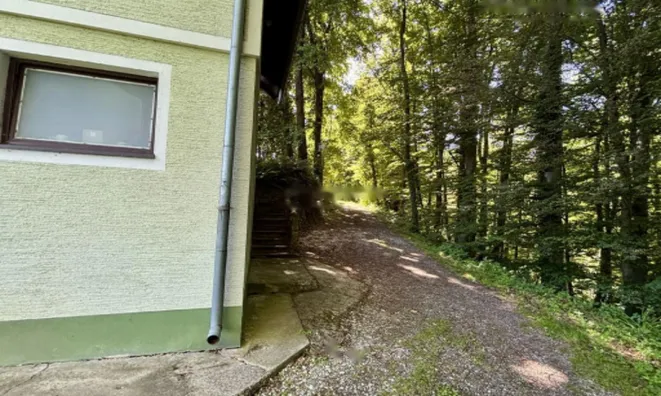 Недвижимость Дом, Белски Врх: 21