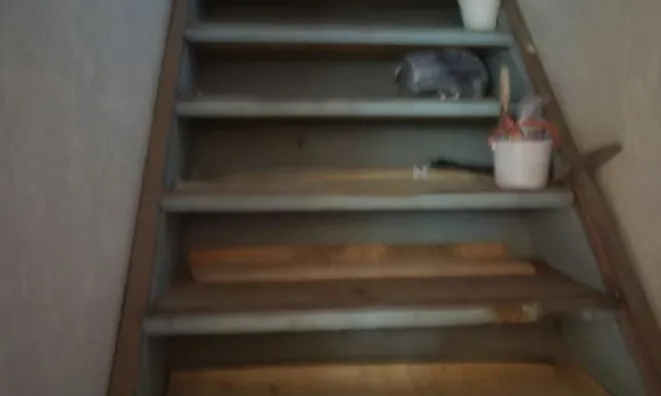 Недвижимость Дом, Чершаки: 13