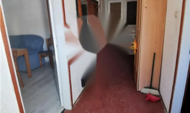 Недвижимость Дом с террасой Села при Волчах: 2